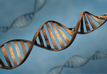 Teste de Paternidade DNA